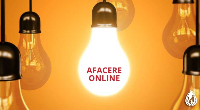 Afacerea online - o afacere profitabila