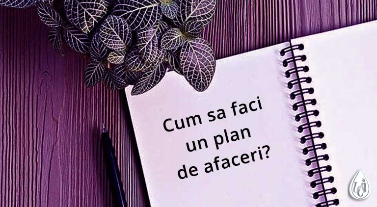 Cum sa faci un plan de afaceri?