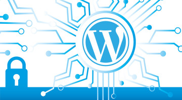 De ce WordPress este considerat vulnerabil din punct de vedere al securității